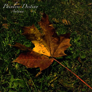 色翁荡熄又大又硬又粗日本
