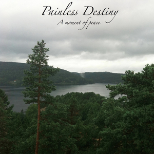 色翁荡熄又大又硬又粗日本
